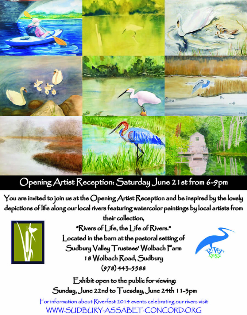 2014 SVT Invitation