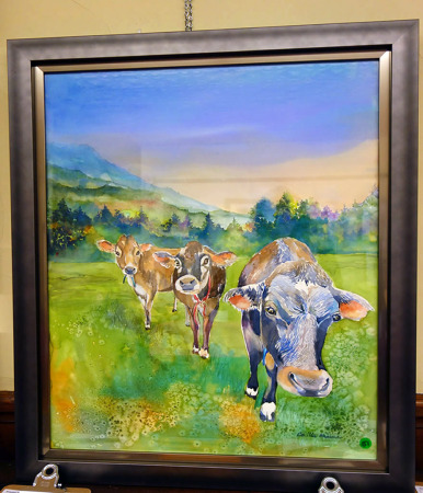 Cows