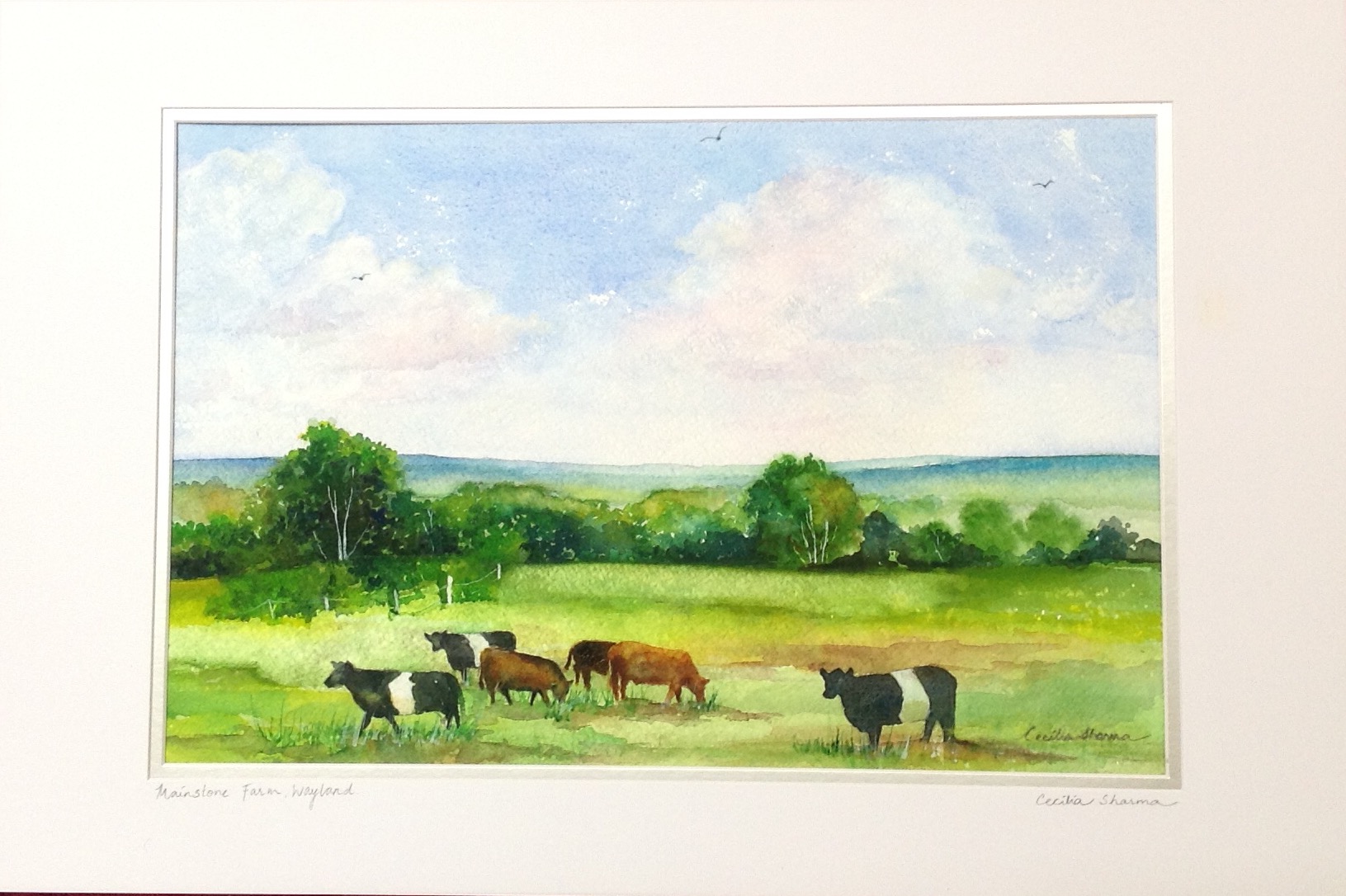 Mainstone Farm Plein Air June 7th 2016 Wayland Cecilia Sharma