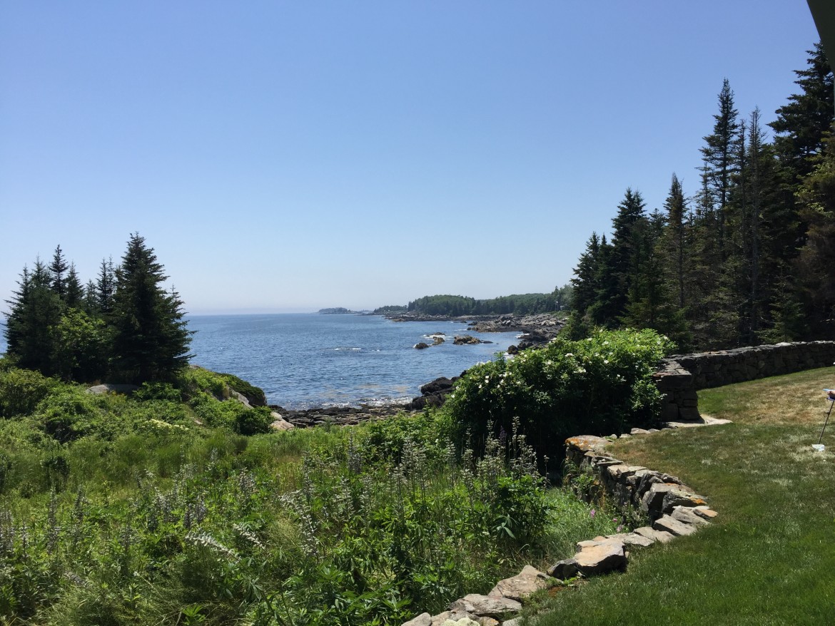 En Plein Air in Christmas Cove, Maine, July 15th 22nd 2017 Cecilia